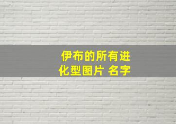 伊布的所有进化型图片 名字